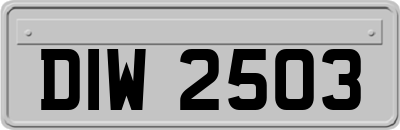 DIW2503