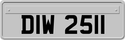 DIW2511