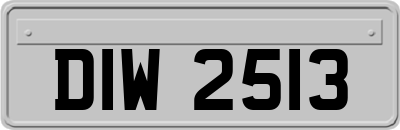 DIW2513