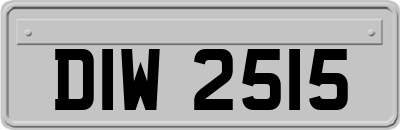 DIW2515