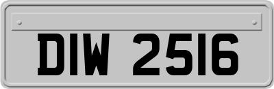DIW2516