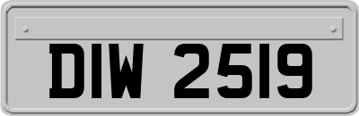 DIW2519