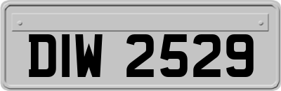 DIW2529