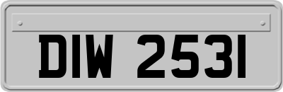 DIW2531