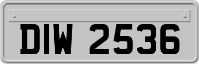 DIW2536