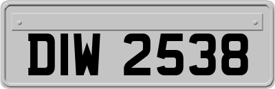 DIW2538