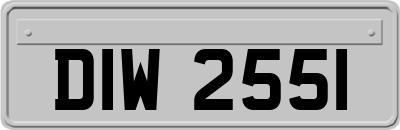 DIW2551