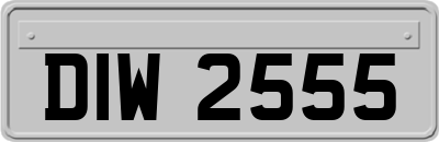 DIW2555