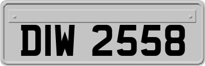 DIW2558