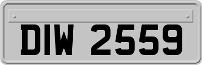 DIW2559