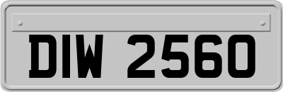 DIW2560