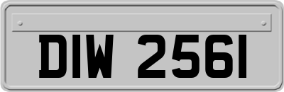 DIW2561