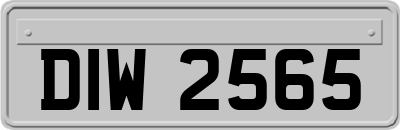 DIW2565