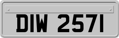 DIW2571