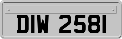 DIW2581