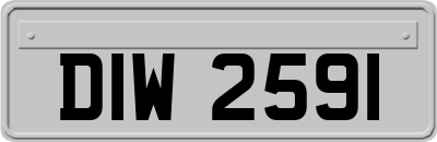 DIW2591