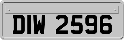 DIW2596