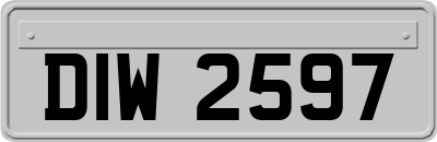 DIW2597