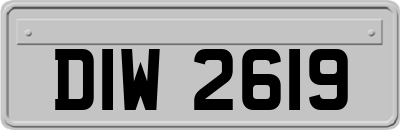 DIW2619