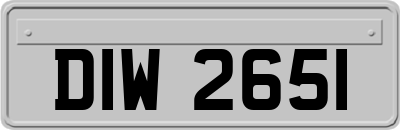 DIW2651