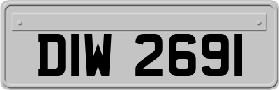 DIW2691