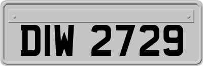 DIW2729