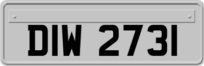 DIW2731