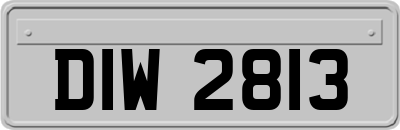 DIW2813
