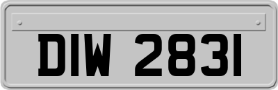 DIW2831