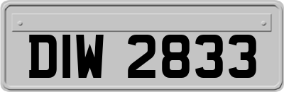 DIW2833