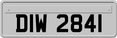 DIW2841