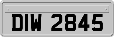 DIW2845