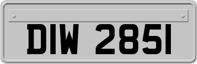 DIW2851