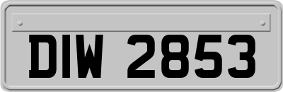 DIW2853