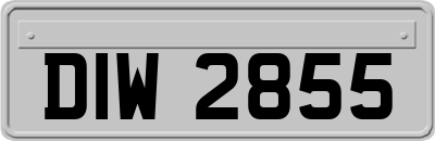 DIW2855