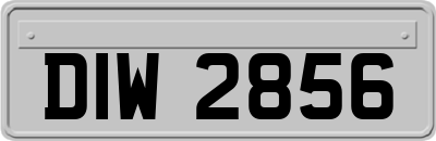 DIW2856