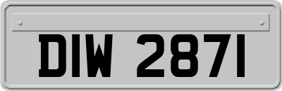 DIW2871