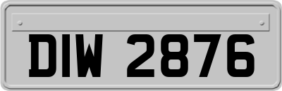 DIW2876