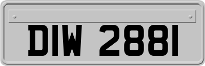 DIW2881