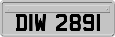 DIW2891