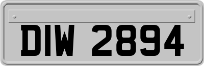 DIW2894
