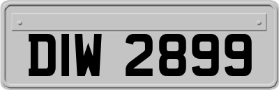 DIW2899