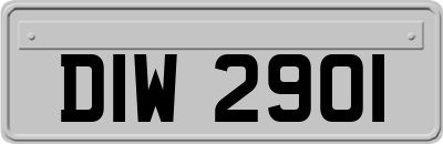 DIW2901
