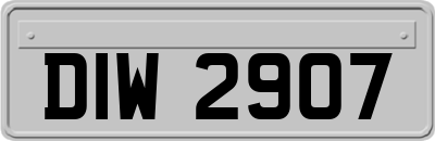 DIW2907