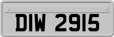 DIW2915