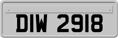 DIW2918