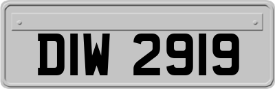 DIW2919