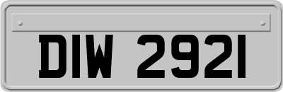 DIW2921