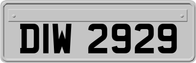 DIW2929