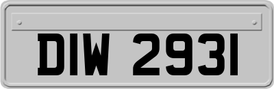 DIW2931
